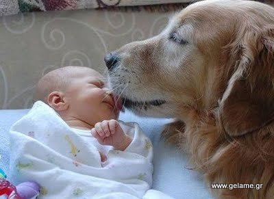 pets-and-babies-11